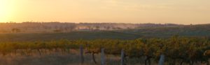 Freeman Wines Region Young